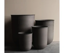 DBKD Out Kruka Brown 4-pack