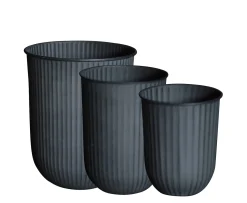 DBKD Out Stripe Kruka Black 3-pack