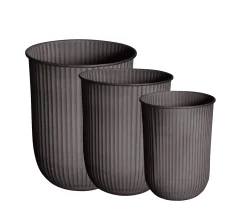 DBKD Out Stripe Kruka Brown 3-pack