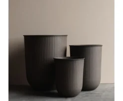 DBKD Out Stripe Kruka Brown 3-pack