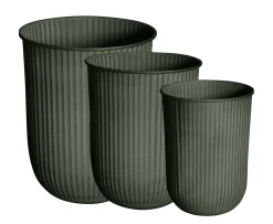 DBKD Out Stripe Kruka Green 3-pack