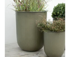 DBKD Out Stripe Kruka Green 3-pack