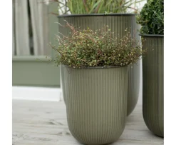 DBKD Out Stripe Kruka Green 3-pack