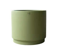 DBKD Solid Kruka Green Large