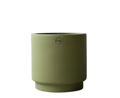 DBKD Solid Kruka Green Medium