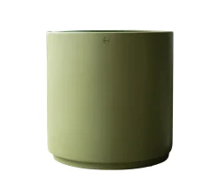 DBKD Solid Kruka Green XL