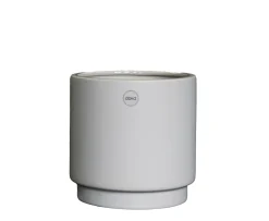 DBKD Solid Kruka Mole Medium