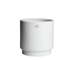 DBKD Solid Kruka White Medium
