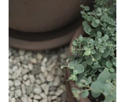 DBKD Terra Skål Brown Ø30