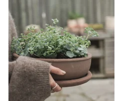 DBKD Terra Skål Brown Ø30