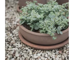DBKD Terra Skål Brown Ø30