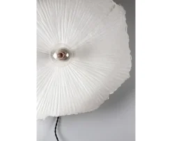 Globen Lighting Tropez Väggplafond Vit/Svart Ø60