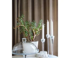 Hasta Home Ljuva Gardinlängd Sammet Beige 250cm