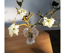 Hein Studio Ammonit Vas Clear Large