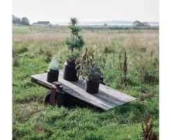 Muubs Sai Kruka Rust Metal Ø23