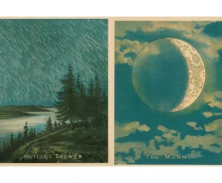 New Mags John Derian Picture Book II Bok