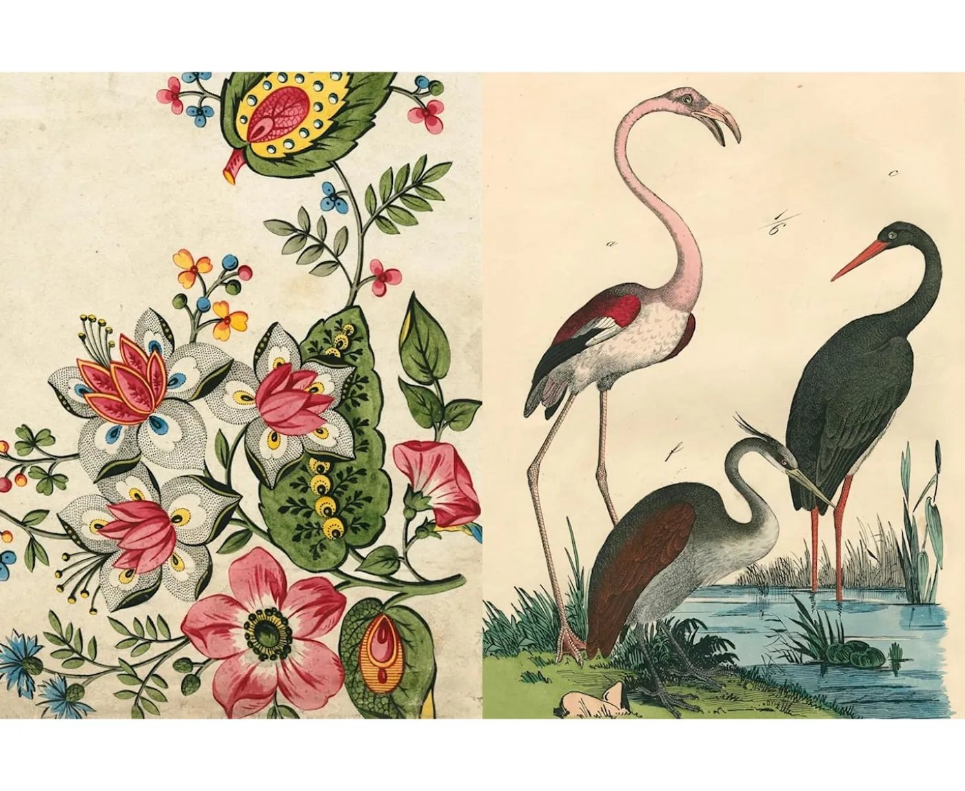 New Mags John Derian Picture Book II Bok
