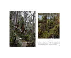 New Mags Kinfolk Travel Bok