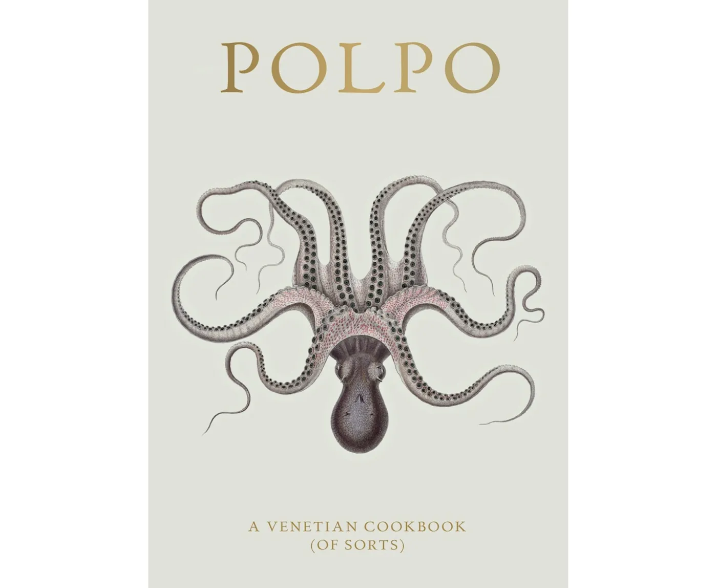 New Mags Polpo Bok