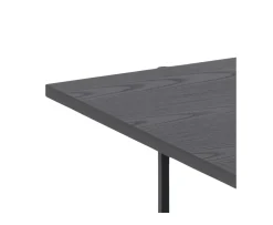 Nordic Home Evelyn Soffbord Svart 115x60cm