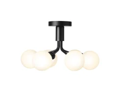 Nuura Apiales 6 Plafond Satin Black/Opal