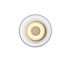 Nuura Blossi Vägglampa Nordic Gold/Clear Ø23